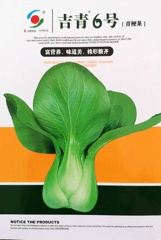 Jiqing No.6——Green Pakchoi Jiqing No.6——Green Pakchoi